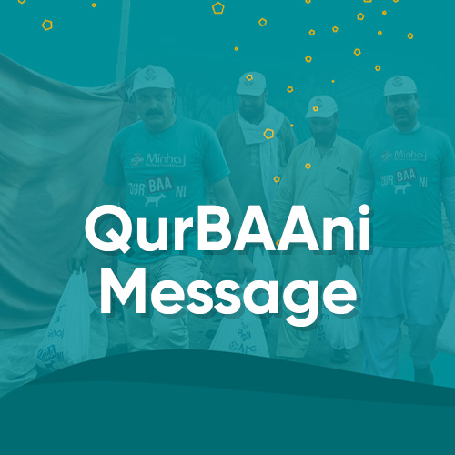 Qurbani video 5